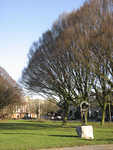 902839 Gezicht over het plantsoen tussen de Troosterlaan en de Van Everdingenlaan (rechts) te Utrecht, vanaf de ...